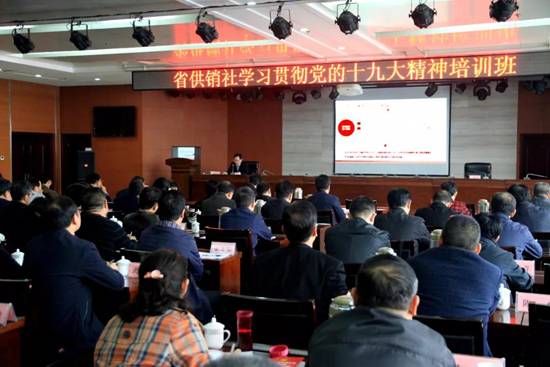 1524010957257126.jpg 53.jpg