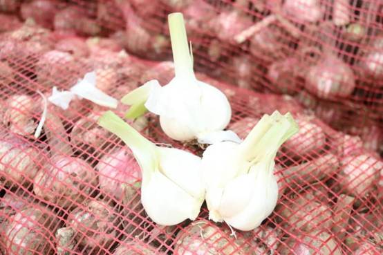 1526289819174516.jpg 3.jpg