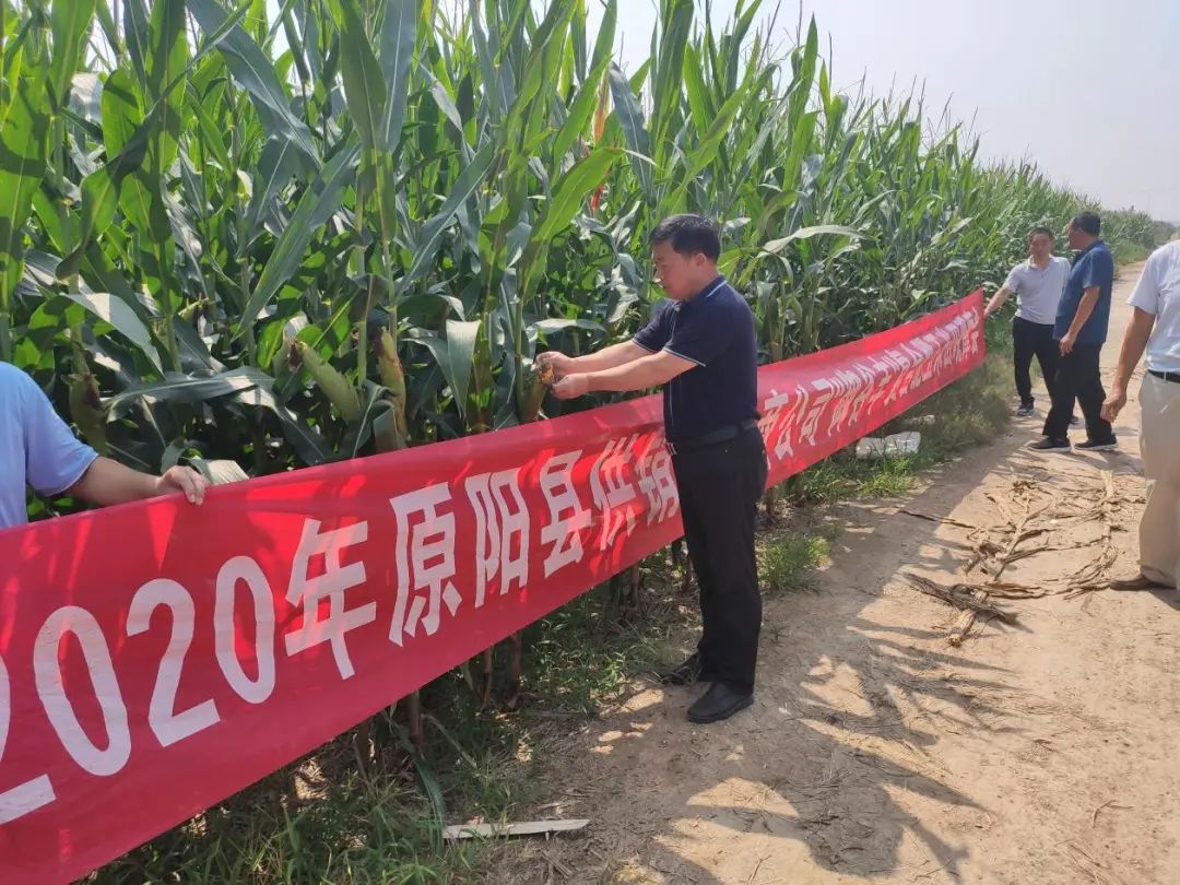 1599620065132027.jpg 圖片關鍵詞