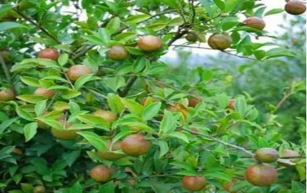 圖片關(guān)鍵詞 圖片關(guān)鍵詞