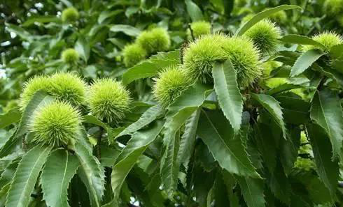 圖片關(guān)鍵詞 圖片關(guān)鍵詞