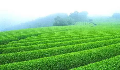 圖片關(guān)鍵詞 圖片關(guān)鍵詞